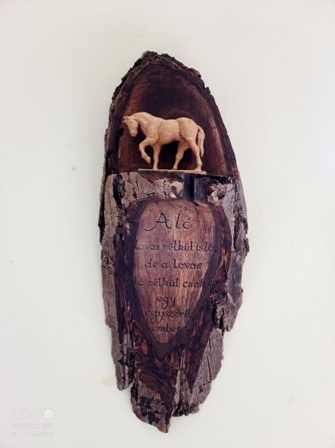 lovas_idezet.jpg lovas_idezet.jpg