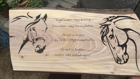 lovas_idezet_1.jpg lovas_idezet_1.jpg