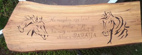 lovas_idezet_3.jpg lovas_idezet_3.jpg